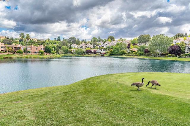 4009 W Lakeshore Drive, San Ramon CA: https://media.crmls.org/mediaz/9d76370b-0775-44ed-a8e6-0987e6b5cbeb.jpg
