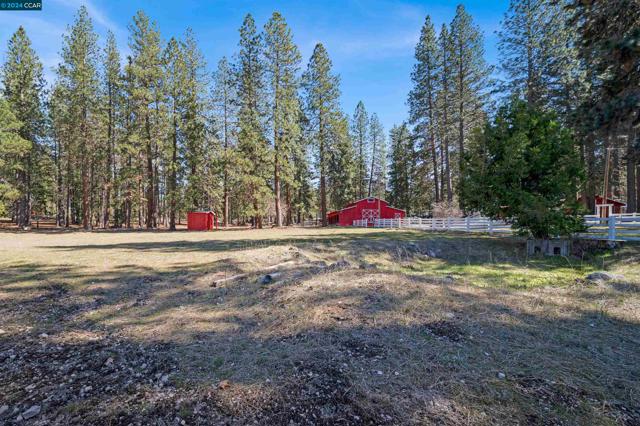 Image 50 of 60 For 1324 Alves Dr