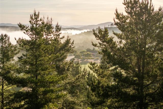 7925 Cinquenta (Lot 97), Carmel CA: https://media.crmls.org/mediaz/9d9a7f13-8adc-482e-bf60-c53f2368f38c.jpg