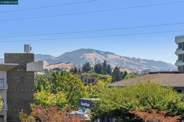 1756 Cole Ave, Walnut Creek CA: https://media.crmls.org/mediaz/9da0020a-c00d-414c-843c-def98b7ce7d9.jpg