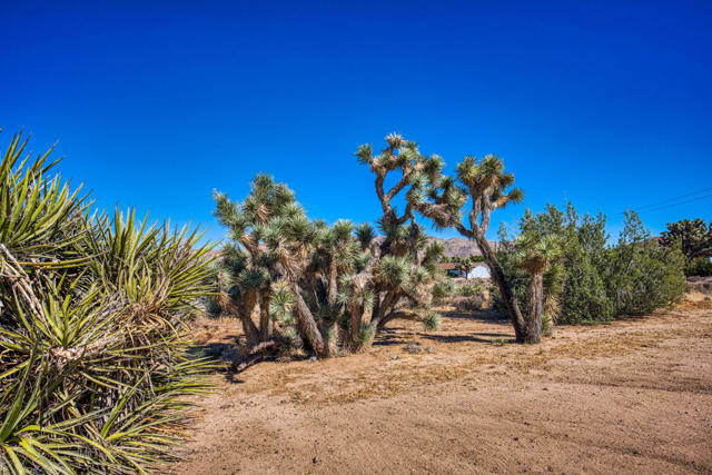 58697 Santa Barbara Drive, Yucca Valley CA: https://media.crmls.org/mediaz/9da19bea-3bd0-40bd-99ad-bba12eceed09.jpg