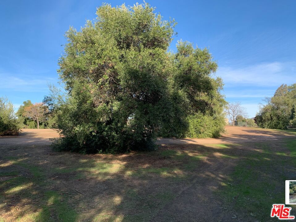 https://media.crmls.org/mediaz/9da2ecee-1f90-4f0a-b6fc-ec07872becc8.jpg?preset=X-Large