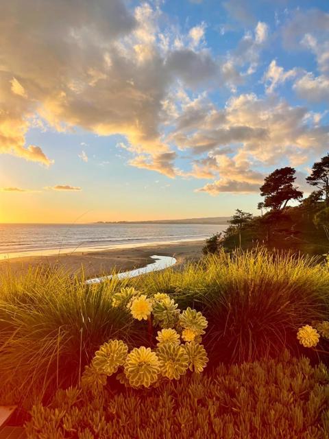 Image 54 of 97 For 249 Via Concha