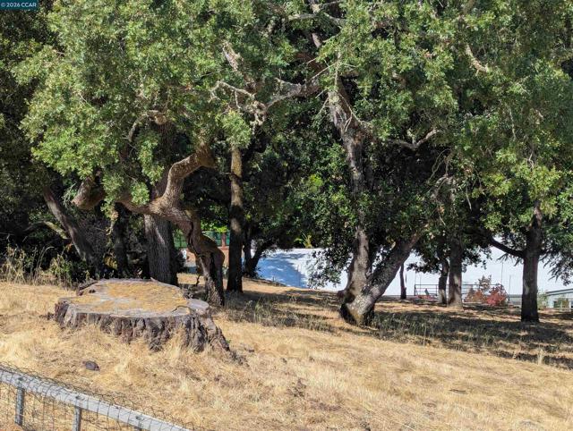 13 St. James Ct., Orinda CA: https://media.crmls.org/mediaz/9db39989-f130-4bb4-979c-8d3c80471dcc.jpg