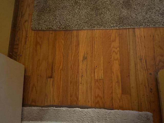 2563 Gumdrop Drive, San Jose CA: https://media.crmls.org/mediaz/9dbebaf3-a64f-4f06-8a2d-cc2ab365a51d.jpg