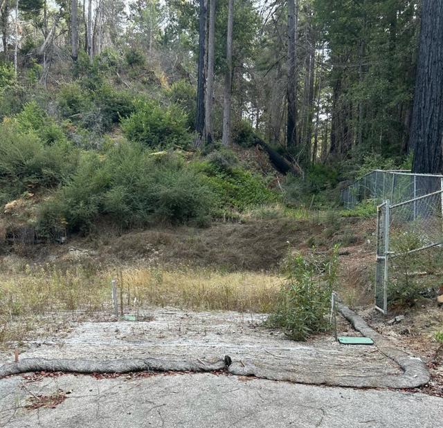 133 Lake Drive, Boulder Creek CA: https://media.crmls.org/mediaz/9dc6cab3-a80e-46c1-a86f-0b0719a737ce.jpg