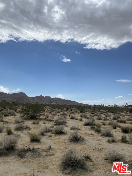 MLS #23332031 image #4