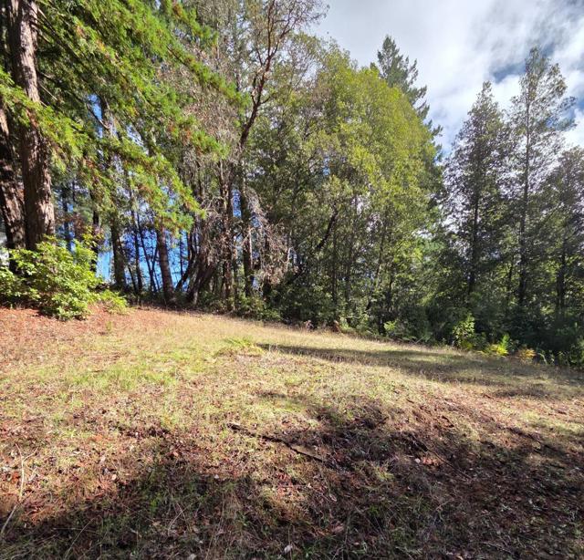 1140 Warren Drive, Santa Cruz CA: https://media.crmls.org/mediaz/9dd2cd24-982b-49be-9a1c-0e8c42c58048.jpg