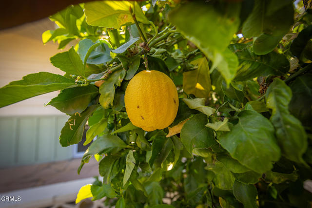 Detail Gallery Image 25 of 33 For 2027 Burnham Rd, Ojai,  CA 93023 - 4 Beds | 2/1 Baths