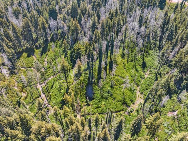 0 & 06 Branson, Boulder Creek CA: https://media.crmls.org/mediaz/9de05551-7d7f-43fa-bd14-6514f22a3be5.jpg