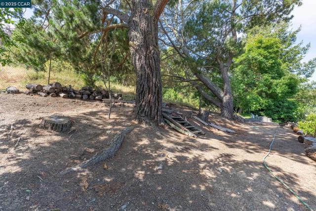 3215 Camino Colorados, Lafayette CA: https://media.crmls.org/mediaz/9df1d416-9c26-4d29-a9ca-223e3037bd36.jpg