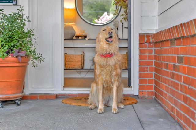 Image 4 of 46 For 393 Colorados Ct