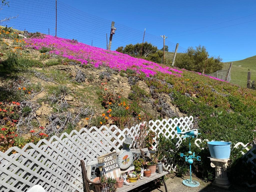 MLS #ML82001179 image #10