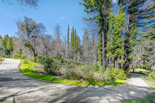 15995 Big Basin Way, Boulder Creek CA: https://media.crmls.org/mediaz/9e044e80-d2f0-47ad-87bd-5be4dec21927.jpg