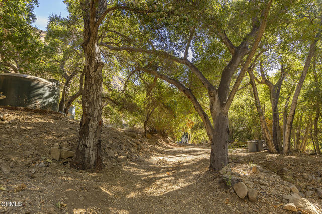 Detail Gallery Image 29 of 29 For 3111 Matilija Canyon Rd, Ojai,  CA 93023 - 2 Beds | 1 Baths