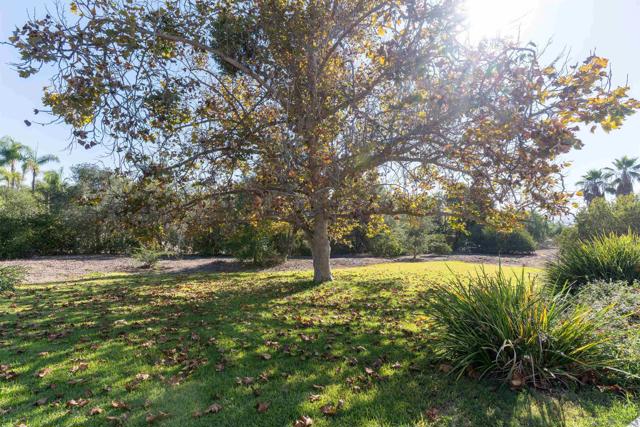 3121 Alta Verde, Fallbrook CA: https://media.crmls.org/mediaz/9e061ad2-08bc-43a8-9c05-85f755aa6aef.jpg