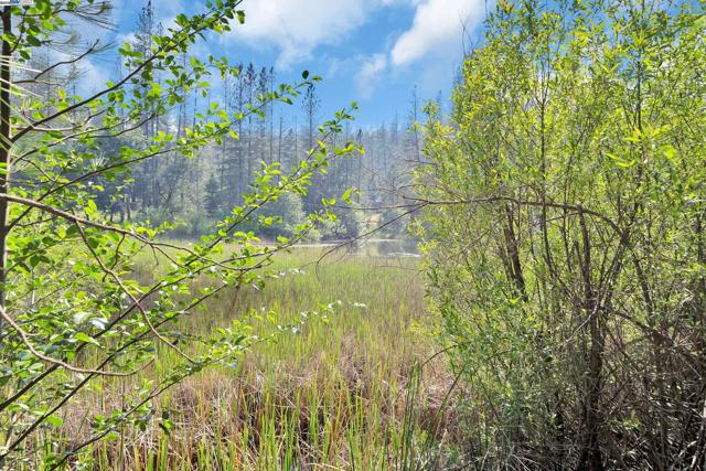13567 Raccoon Mountain Rd, Grass Valley CA: https://media.crmls.org/mediaz/9e0f775c-233b-4fce-9dc5-798e11e06490.jpg