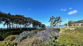 117 Seascape Resort Drive, Aptos CA: https://media.crmls.org/mediaz/9e105e05-6d98-465a-8208-76e25bfb7205.jpg