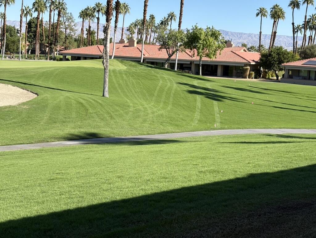 MLS #219137532DA image #28