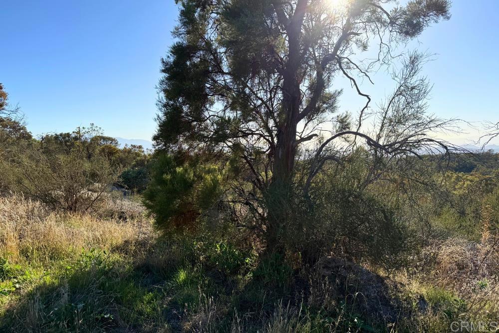 MLS #PTP2507282 image #19