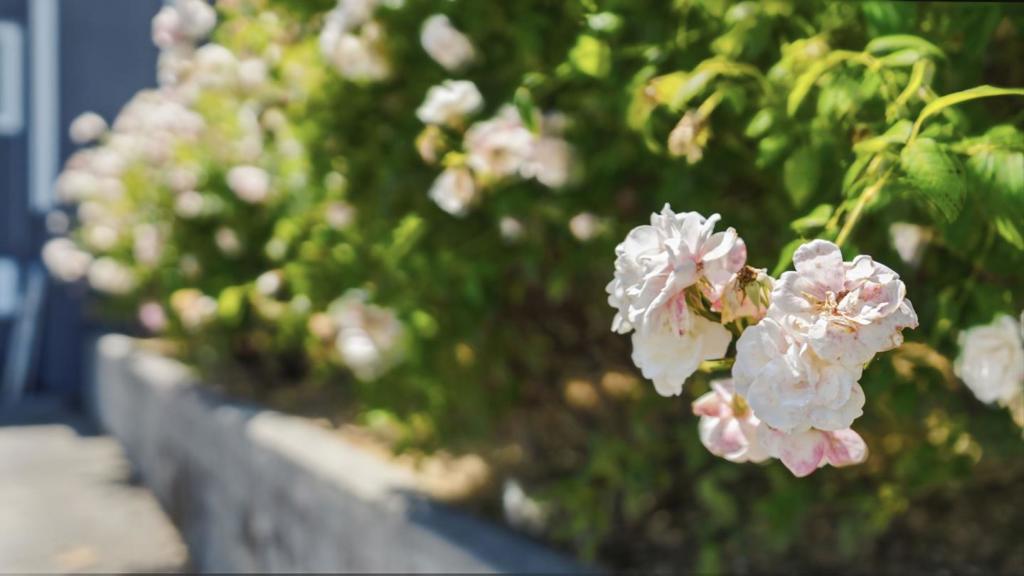 https://media.crmls.org/mediaz/9e23d743-41d9-4a3c-b7da-f7cf944fa32a.jpg?preset=X-Large
