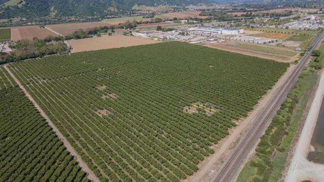 275 Bolsa Road, Gilroy CA: https://media.crmls.org/mediaz/9e246ba3-58cf-4722-a8c1-7b6b5d242ada.jpg