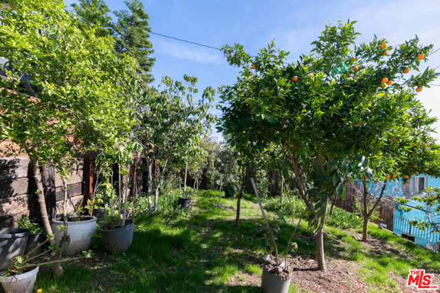 4339 Blanchard Street, Los Angeles CA: https://media.crmls.org/mediaz/9e2c7f4a-84bb-4036-8fff-c6a3f1381e60.jpg