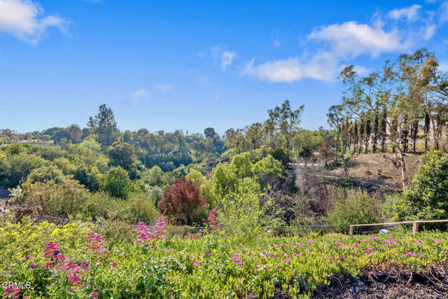 637 Valley Vista Drive, Camarillo CA: https://media.crmls.org/mediaz/9e2d0184-de50-4dd4-857d-8177814e59c5.jpg