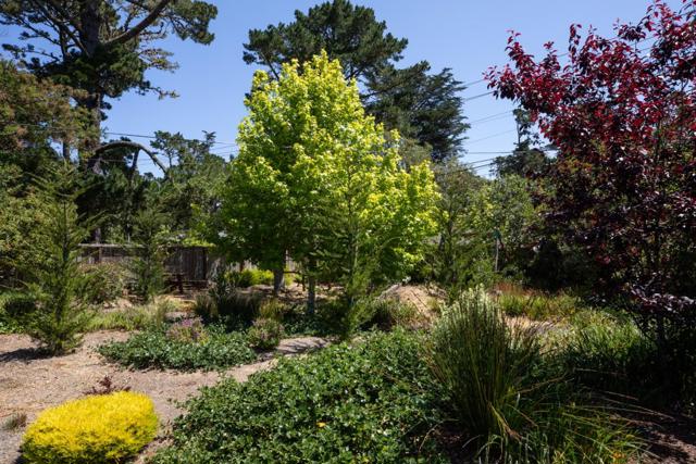 4117 Sunridge Road, Pebble Beach CA: https://media.crmls.org/mediaz/9e344cbb-82a2-438a-b208-c91a0803e4e8.jpg