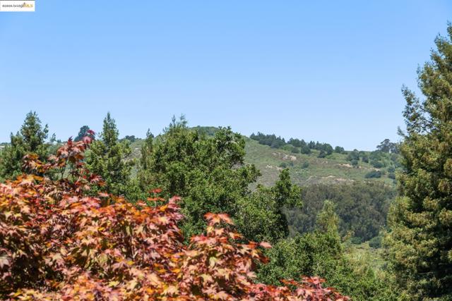 737 Woodhaven Rd, Berkeley CA: https://media.crmls.org/mediaz/9e345129-e7c1-4062-abdf-229ff3f812b2.jpg