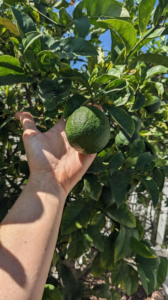 MLS #NDP2508982 image #14