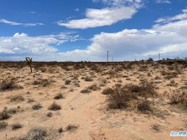 22175831 Listing Image 6