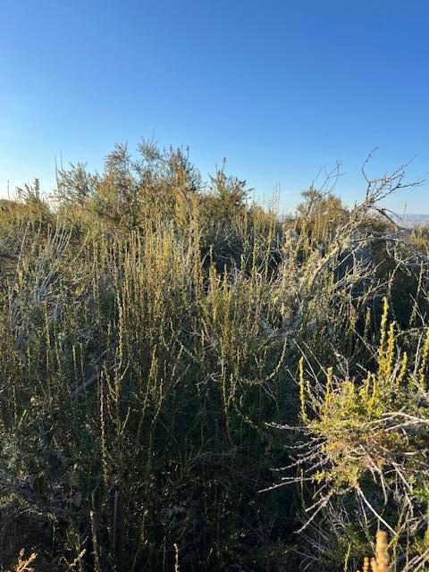 0 Pine Canyon Road, King City CA: https://media.crmls.org/mediaz/9e433381-9c91-4c0e-bf01-aaa9f655868e.jpg