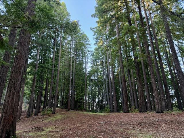 7175 Redwood Retreat Road, Gilroy CA: https://media.crmls.org/mediaz/9e596c5d-1ab2-4106-92ad-2a4356b09115.jpg