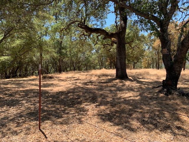 0 BRIDLE TRAIL LANE,  CA: https://media.crmls.org/mediaz/9e5b5185-0a0d-4de7-9a72-676ea7fd7f8a.jpg