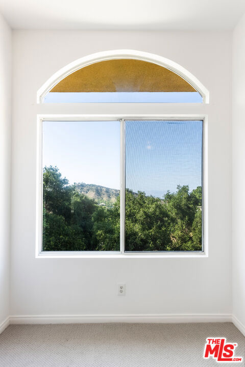 23636 Aster Trail photo 45