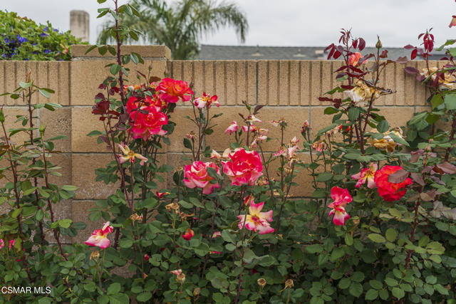 2653 N Broadmoor Avenue, Simi Valley CA: https://media.crmls.org/mediaz/9e6a1ed1-9b44-4ca3-932e-d40ee2d3b84e.jpg