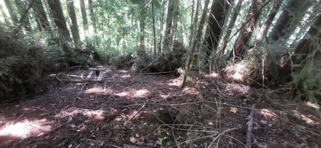 1080 Blue Ridge Drive, Boulder Creek CA: https://media.crmls.org/mediaz/9e6c74fa-c42c-4f01-8b55-4df04c9bc5e0.jpg