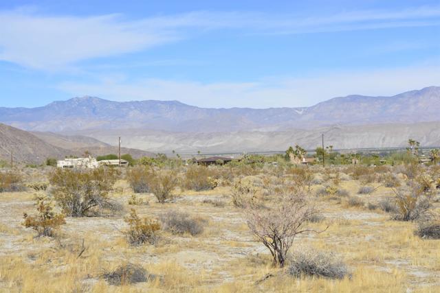 Detail Gallery Image 3 of 6 For Palm Canyon Lot 276, Borrego Springs,  CA 92004 - – Beds | – Baths