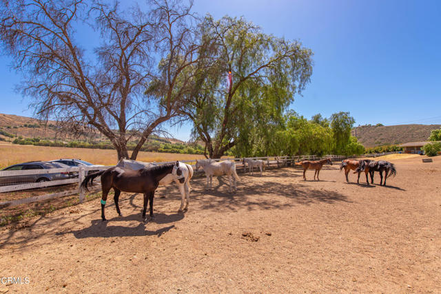 4850 N Moorpark Road, Thousand Oaks CA: https://media.crmls.org/mediaz/9e72ba46-7c6d-47ae-bd3c-a566b2efbee7.jpg