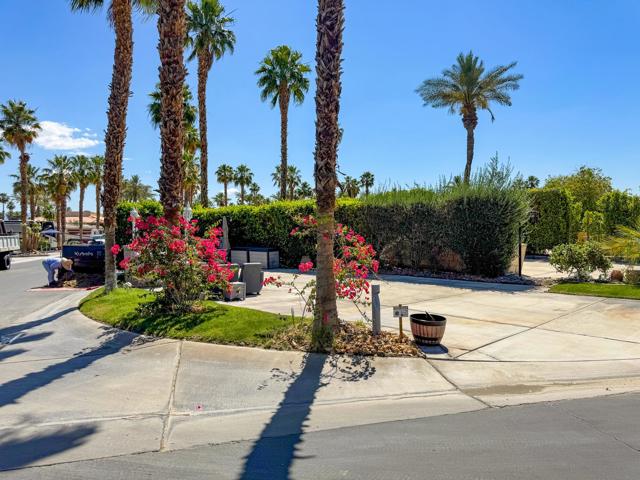 80394 Avenue 48, Indio CA: https://media.crmls.org/mediaz/9e85d718-4edb-4632-834a-24f5d492173f.jpg