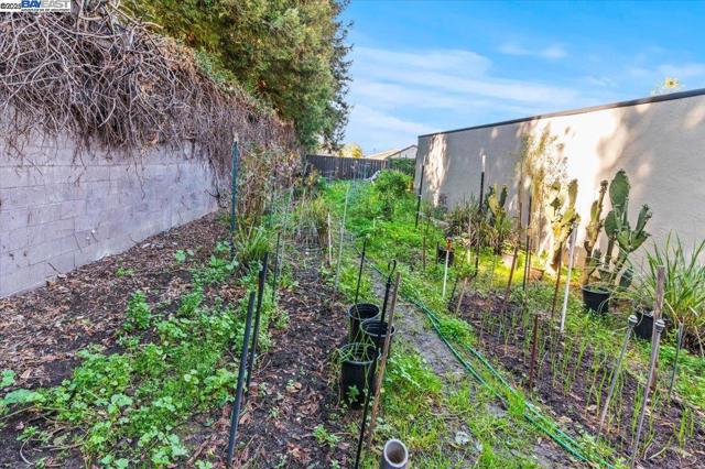 462 Craven Court, Hayward CA: https://media.crmls.org/mediaz/9e890980-32fe-4bc4-83d7-c08ad1580606.jpg