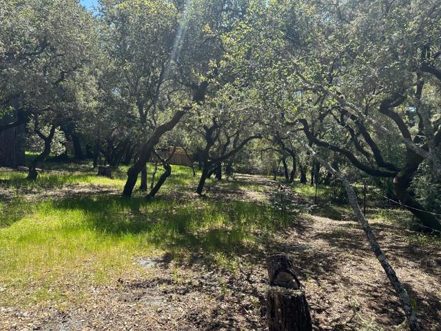 0 Hidden Glen Drive, Scotts Valley CA: https://media.crmls.org/mediaz/9e89cb88-e68c-405c-a04c-e1d820f261da.jpg