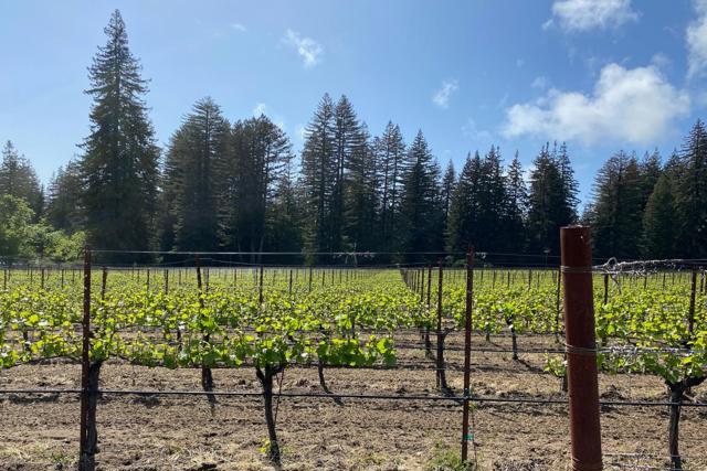 3980 Bonny Doon Road, Santa Cruz CA: https://media.crmls.org/mediaz/9e8efc74-538d-47e2-9772-bcd132f850e0.jpg