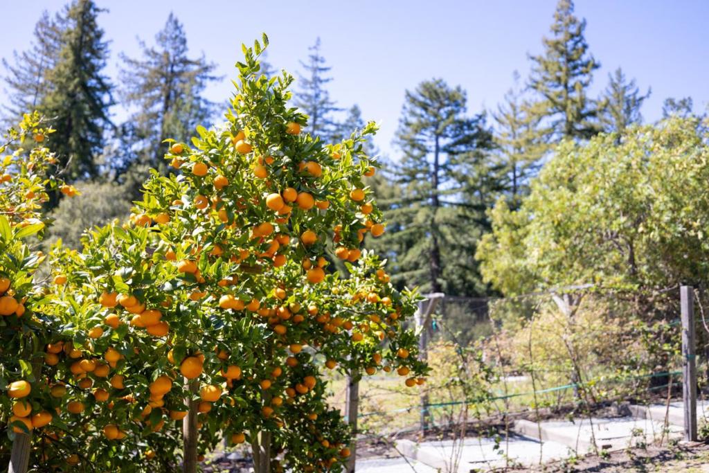 https://media.crmls.org/mediaz/9e941524-50dc-438f-88af-30ad0aa5b9c6.jpg?preset=X-Large