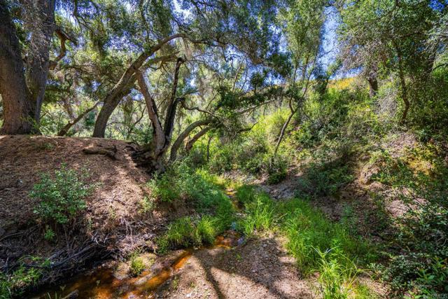 0 Tenaja, Fallbrook, California 92028, ,Residential Land,For Sale,Tenaja,NDP2405556