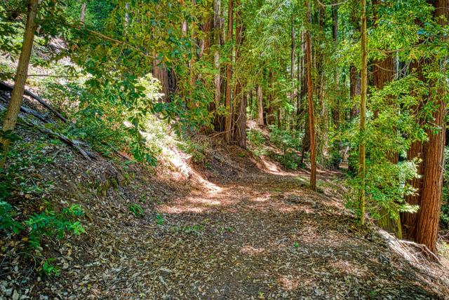 15998 Stetson Road, Los Gatos CA: https://media.crmls.org/mediaz/9e9b332c-092b-4bcc-b8a9-8f9942aa83cb.jpg