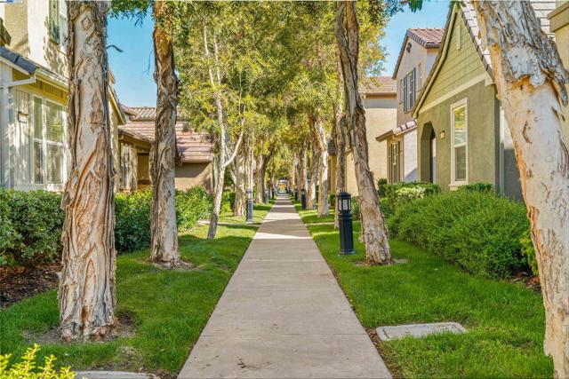 215 W Santa Cruz Way, Mountain House CA: https://media.crmls.org/mediaz/9ea1157b-9bc3-48e0-91a9-2eed0a7c4f33.jpg