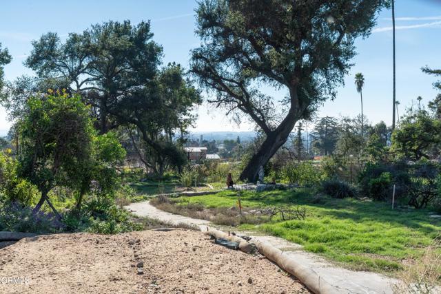 Detail Gallery Image 11 of 21 For 1134 E Altadena Dr, Altadena,  CA 91001 - – Beds | – Baths