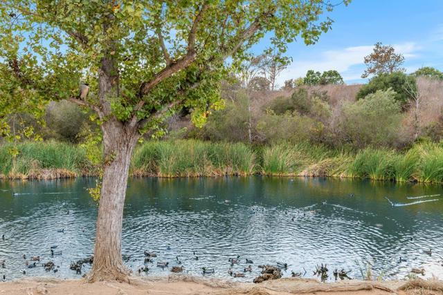 Detail Gallery Image 41 of 45 For 1847 Saint Lucia Way, Vista,  CA 92081 - 3 Beds | 2/1 Baths